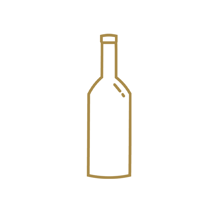 Icon Menü