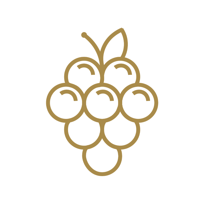 Icon Menü