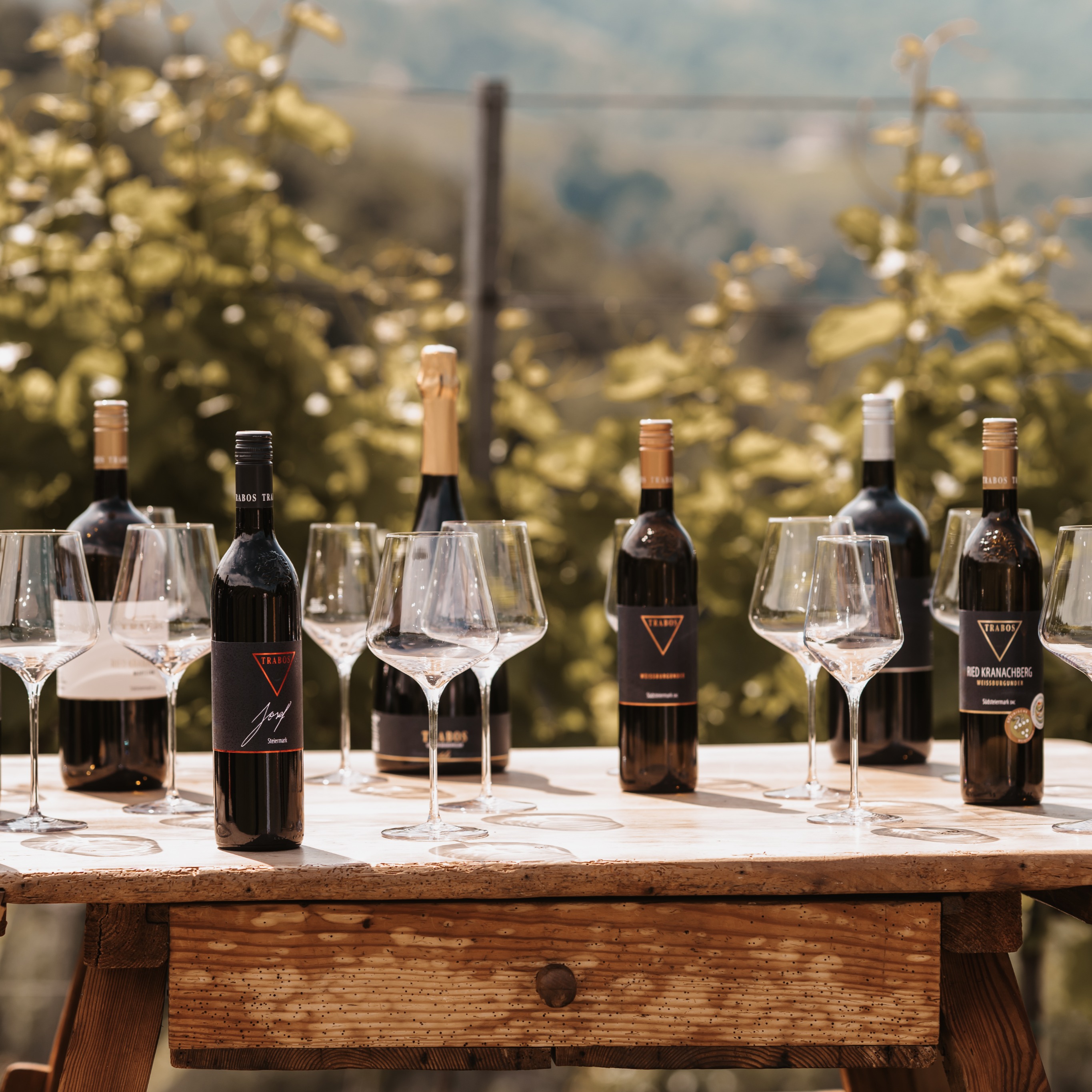 Weingut / Familie Bilder