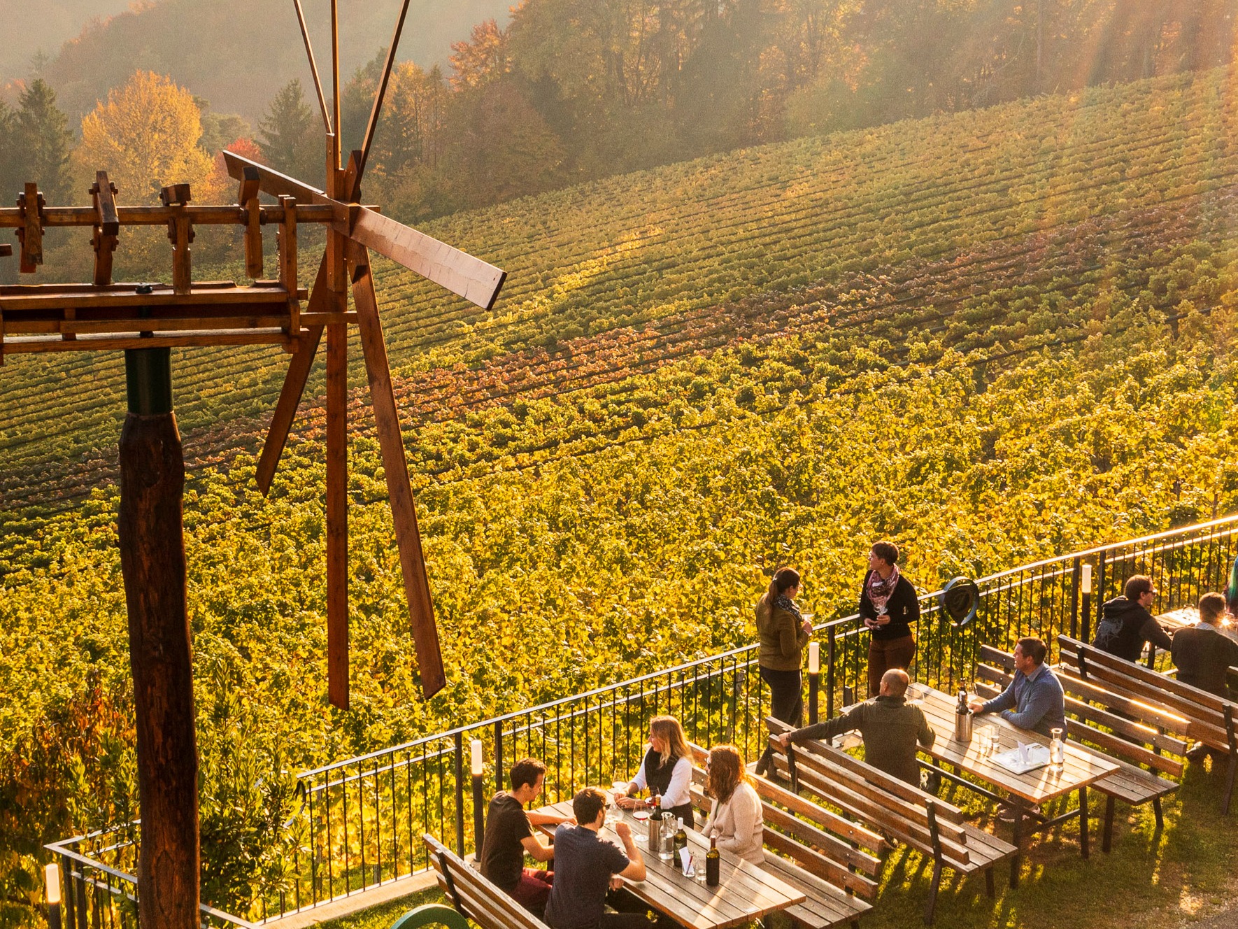 Goldener Oktober – neue Klänge 🍂