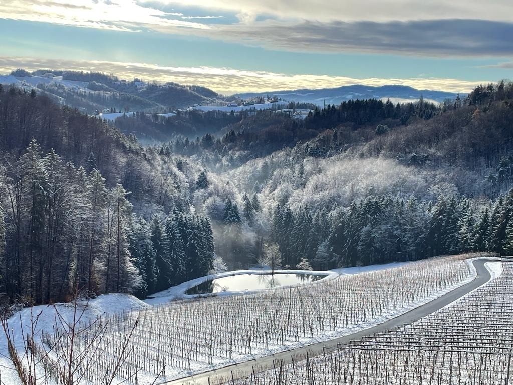 Kranachberger Advent