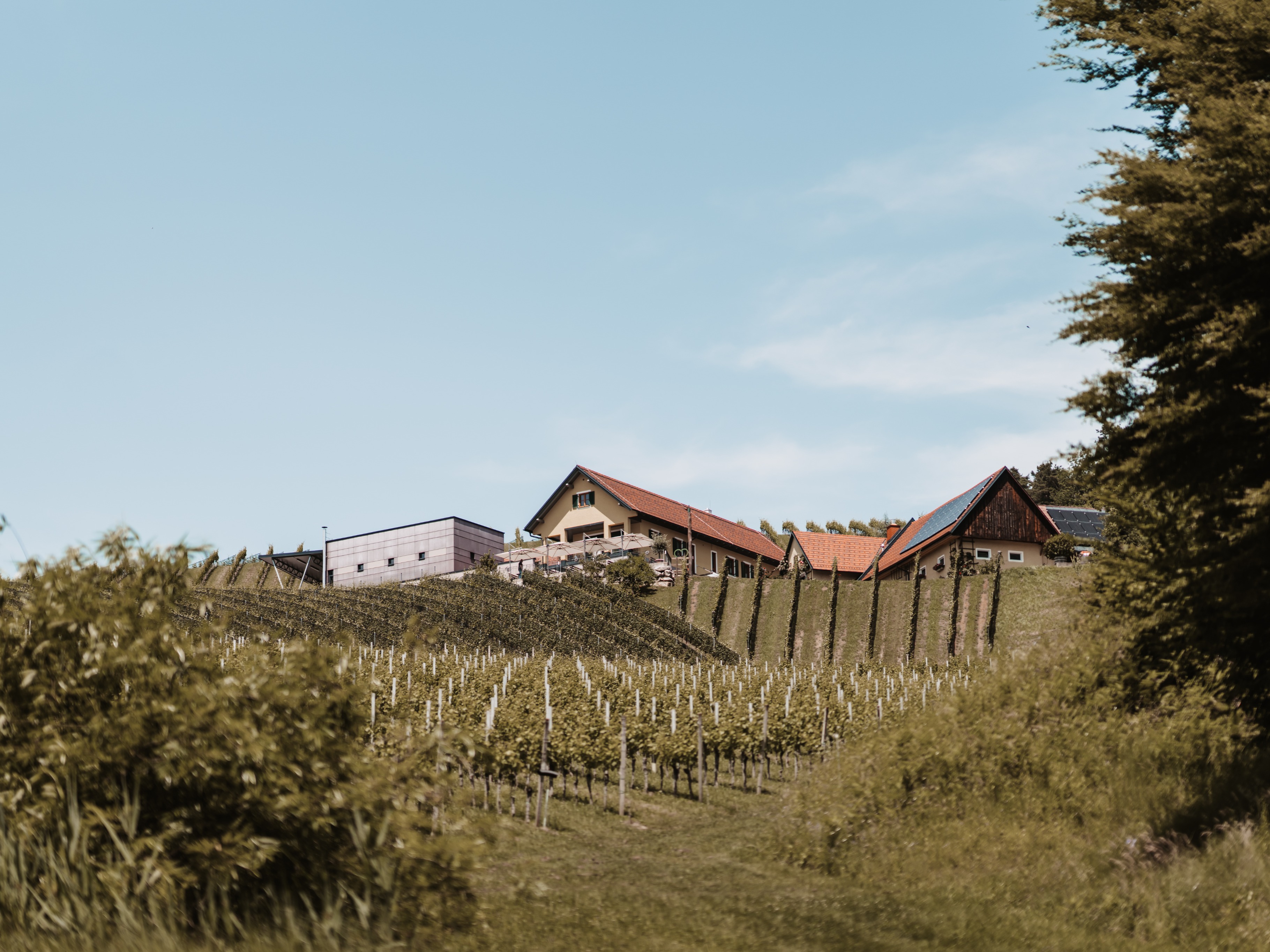 Weitere Termine im Frühling