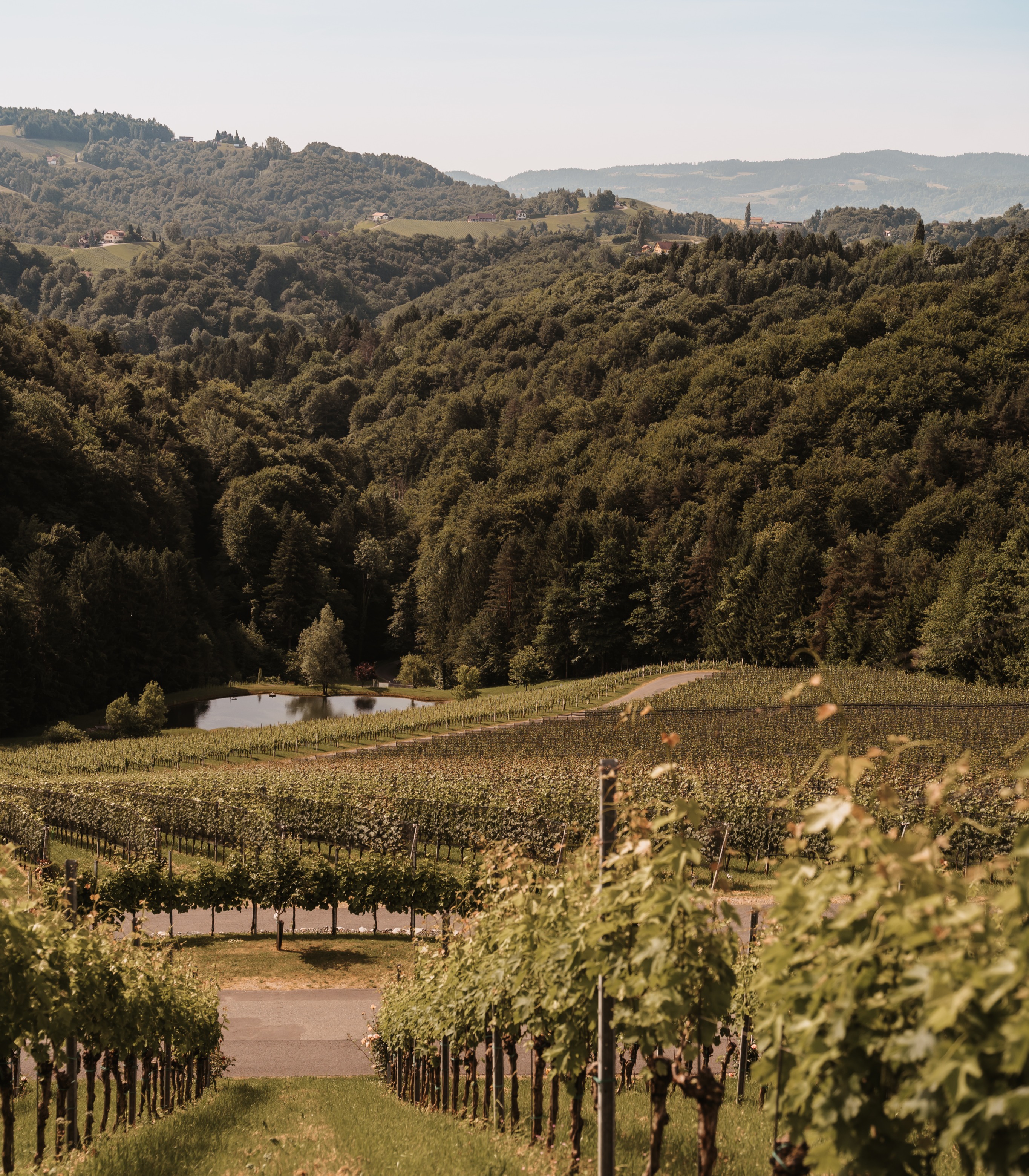 Herbst am Kranachberg